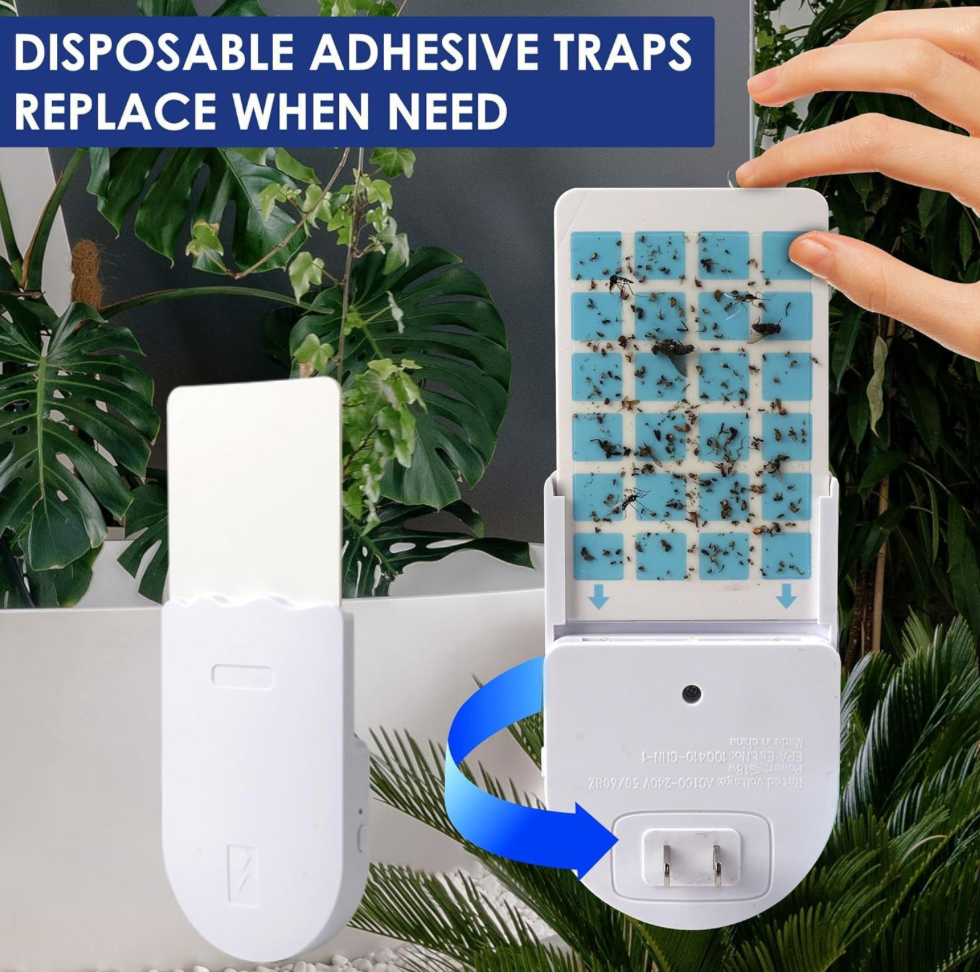 Insect Traps for Indoors