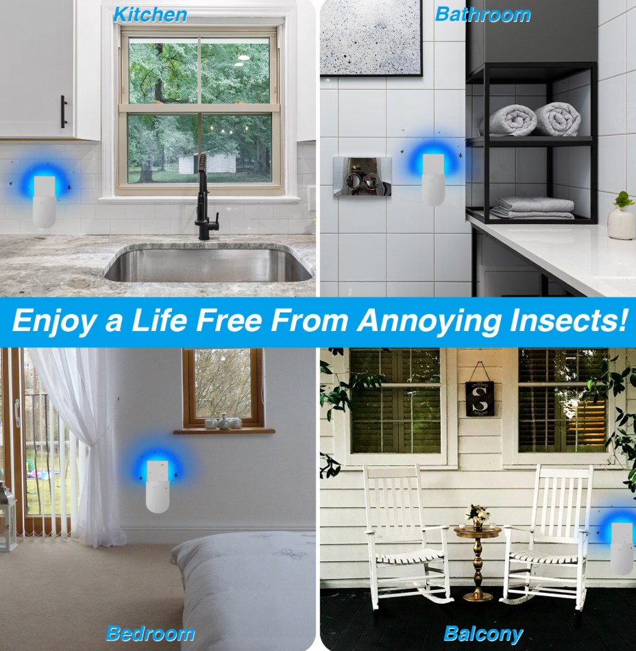 Insect Traps for Indoors