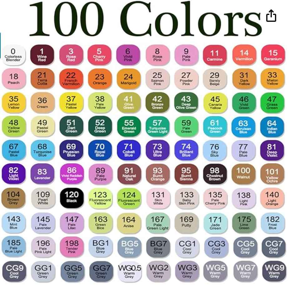 100 Color Dual-tip Art Marker Pens